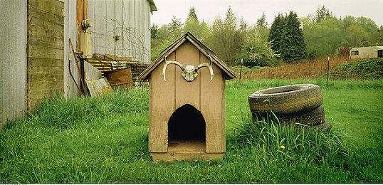 世嘉《索尼克：边境》实机预告短片分享